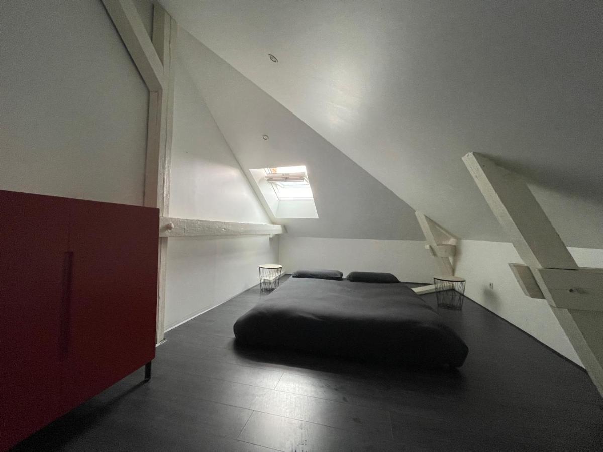 Dream Loft Apartment Colmar Bagian luar foto