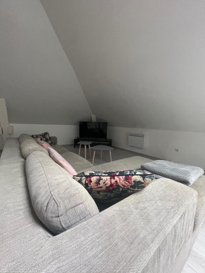 Dream Loft Apartment Colmar Bagian luar foto